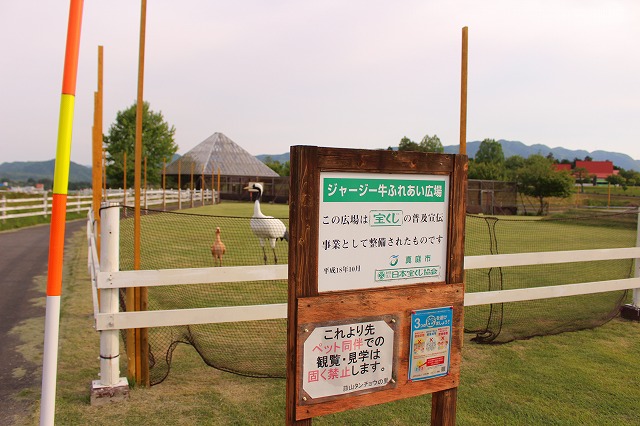 f:id:shizuku9:20200604135855j:plain f:id:shizuku9:20200604135855j:plain
