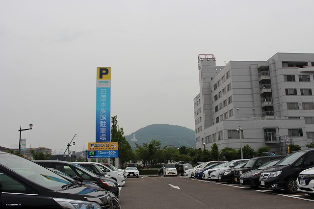 f:id:shizuku9:20200608133813j:plain