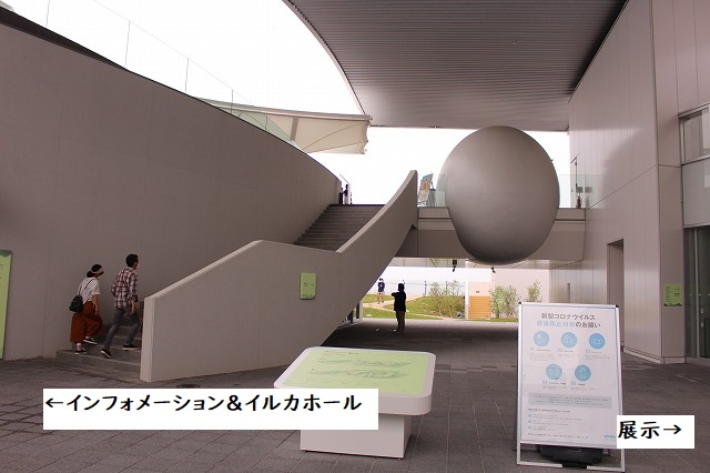 f:id:shizuku9:20200608135646j:plain
