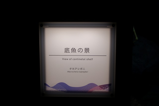 f:id:shizuku9:20200608140759j:plain