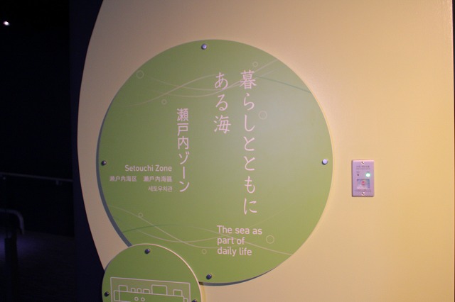 f:id:shizuku9:20200608141705j:plain