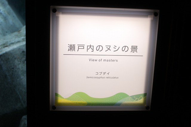 f:id:shizuku9:20200608142159j:plain