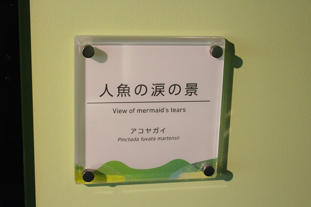 f:id:shizuku9:20200608142428j:plain