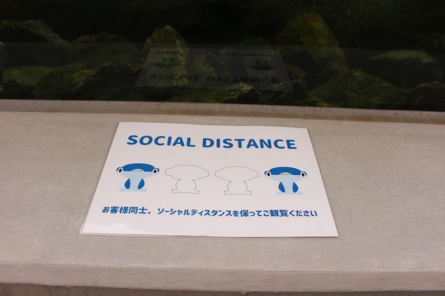 f:id:shizuku9:20200608144340j:plain
