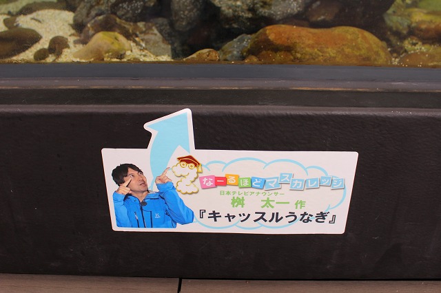 f:id:shizuku9:20200608144545j:plain
