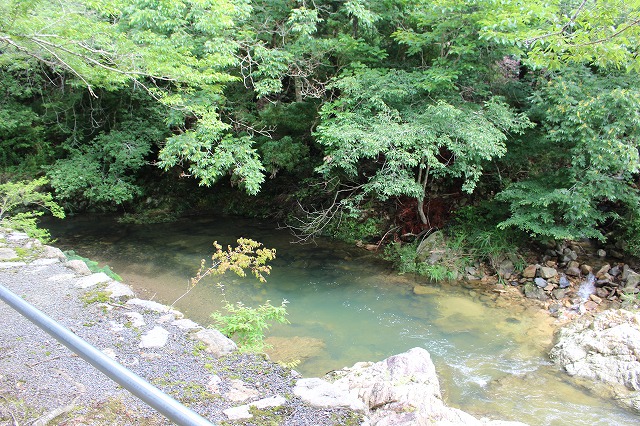 f:id:shizuku9:20200622153601j:plain