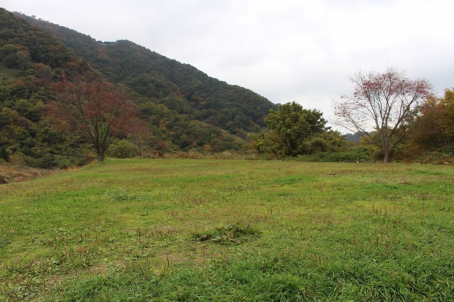 f:id:shizuku9:20201104143407j:plain