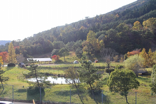 f:id:shizuku9:20201104143427j:plain f:id:shizuku9:20201104143427j:plain