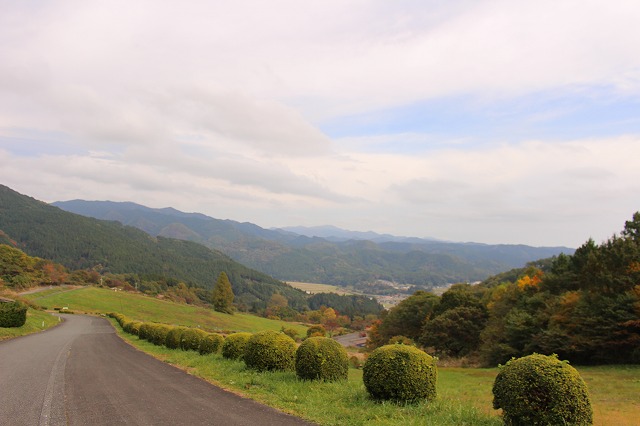 f:id:shizuku9:20201104144819j:plain f:id:shizuku9:20201104144819j:plain