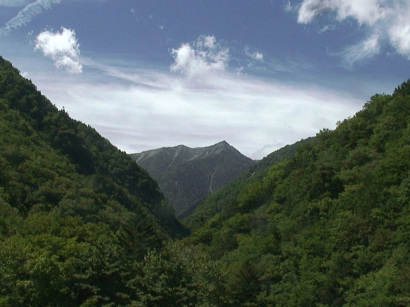 f:id:shizuokaGIBIER:20200511153237j:plain f:id:shizuokaGIBIER:20200511153237j:plain
