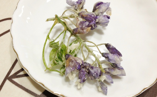 f:id:shizuokan:20190504065911j:plain
