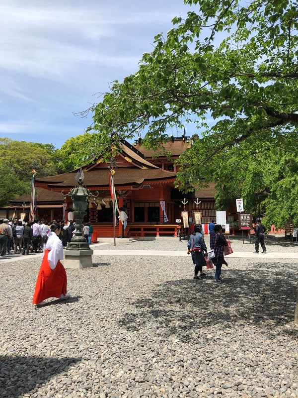 f:id:shizuokan:20190507071832j:plain