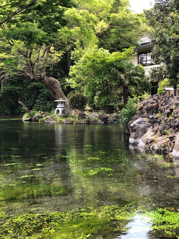 f:id:shizuokan:20190508001134j:plain