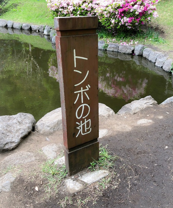 f:id:shizuokan:20190508074608j:plain
