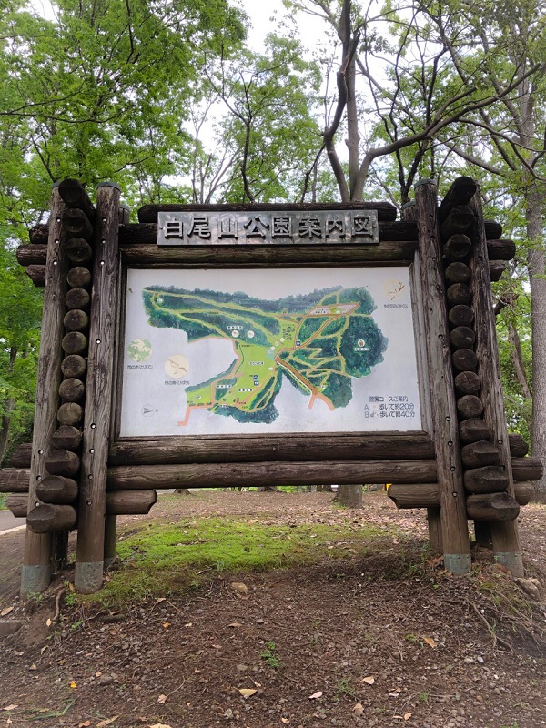 f:id:shizuokan:20190508075115j:plain