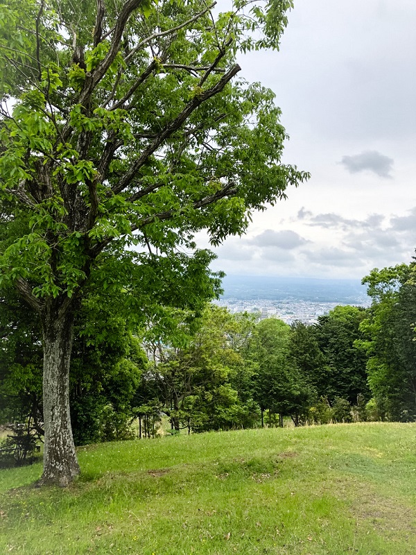 f:id:shizuokan:20190508075208j:plain
