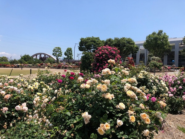 f:id:shizuokan:20190519092623j:plain