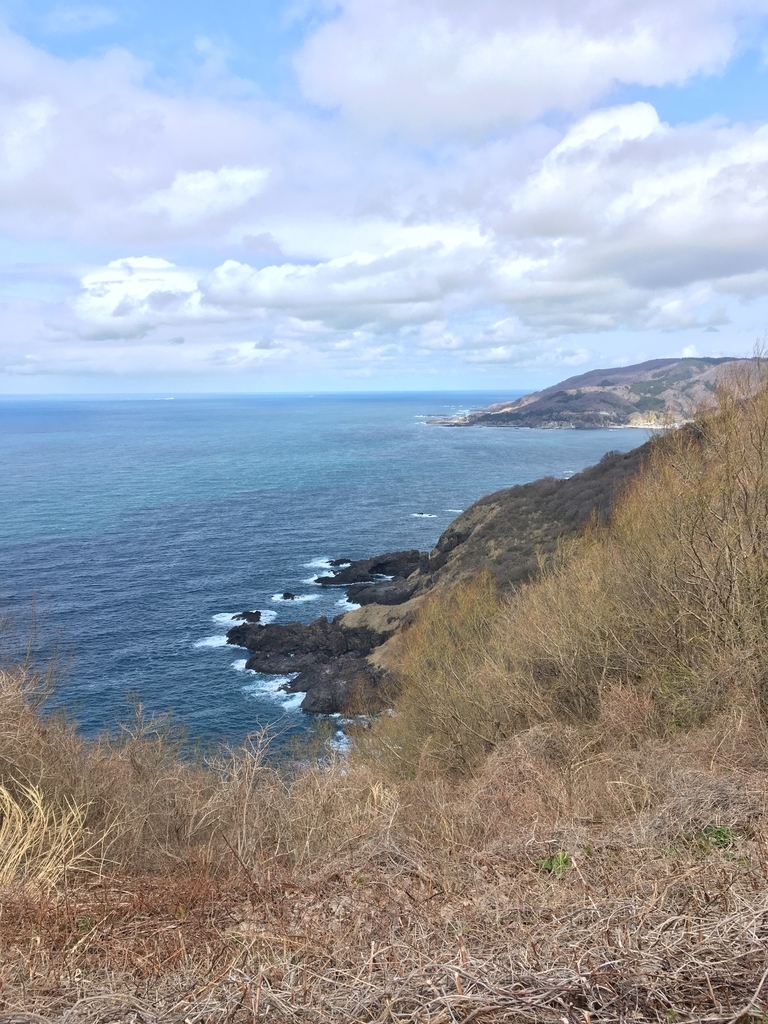 f:id:shizuokershugo:20180413101157j:plain f:id:shizuokershugo:20180413101157j:plain