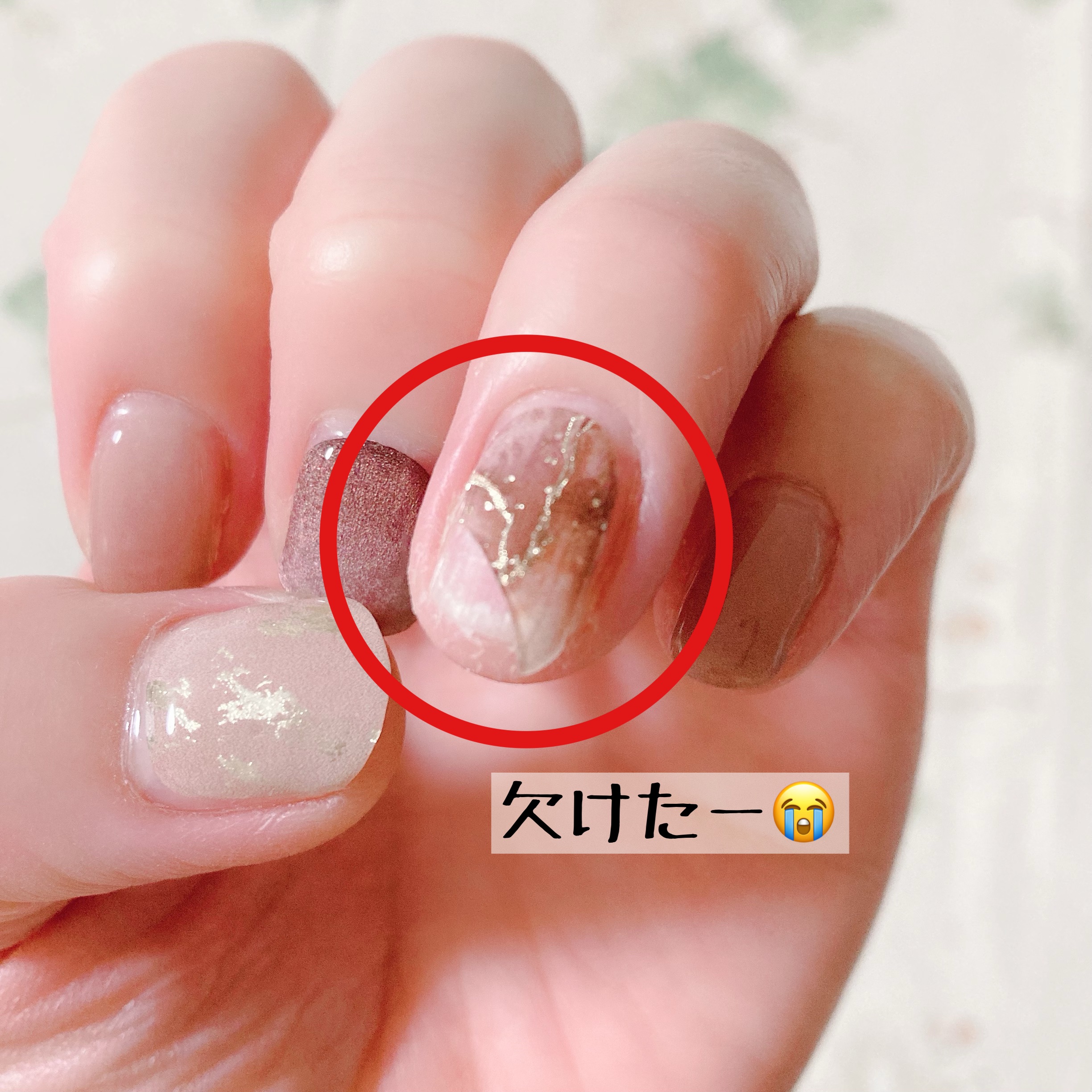 f:id:shizupoke:20211110120338j:image f:id:shizupoke:20211110120338j:image
