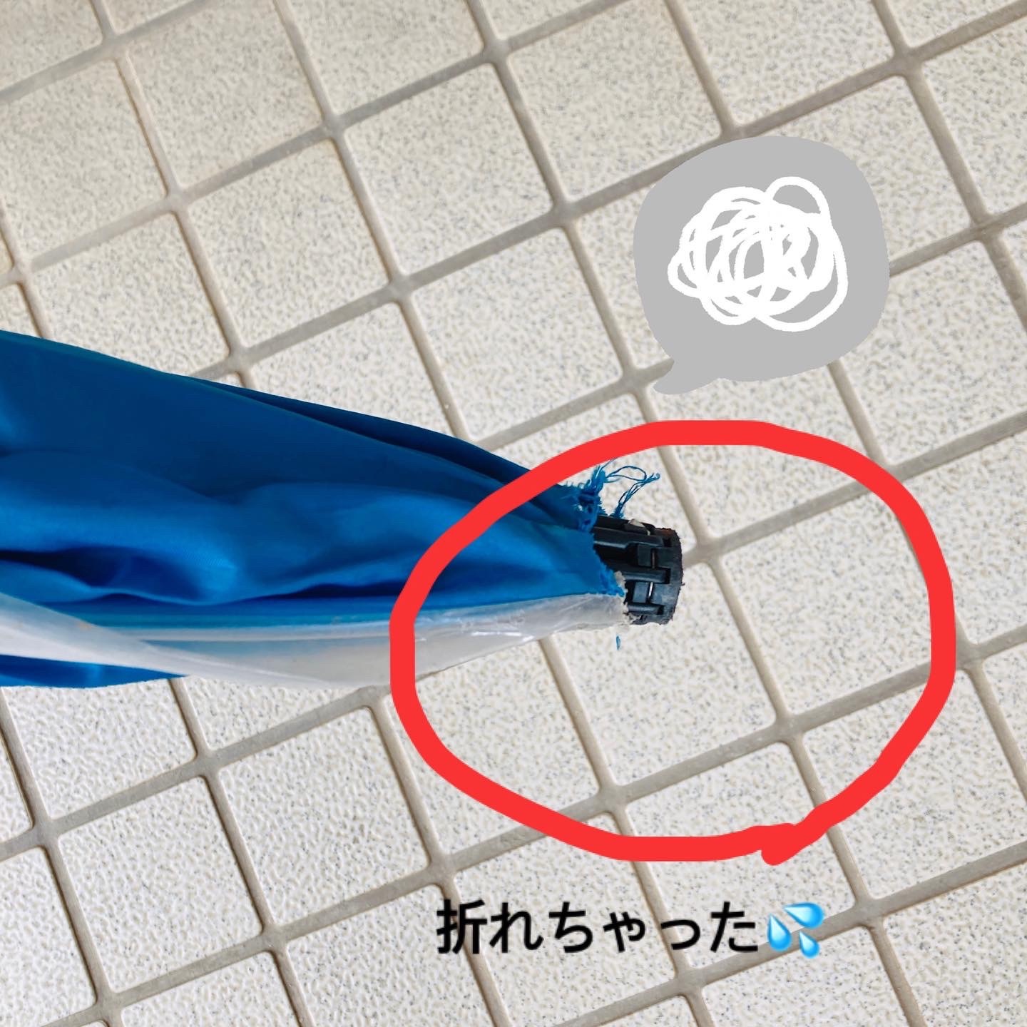 f:id:shizupoke:20221027140702j:image f:id:shizupoke:20221027140702j:image