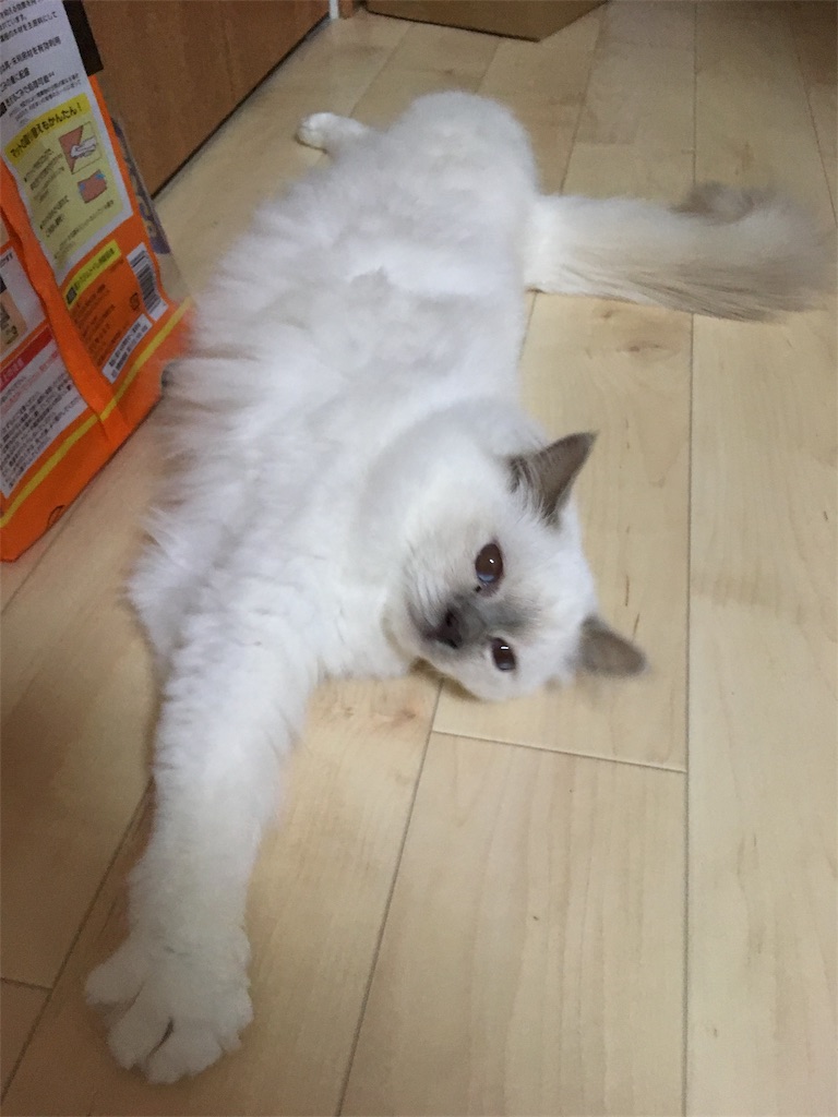 f:id:shizuruchan:20181024083539j:image f:id:shizuruchan:20181024083539j:image