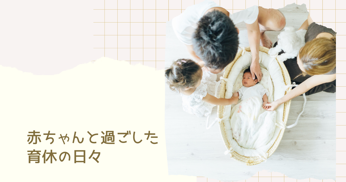 f:id:shk-maker:20211114193535p:plain