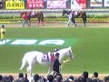 [競馬]ユキチャン