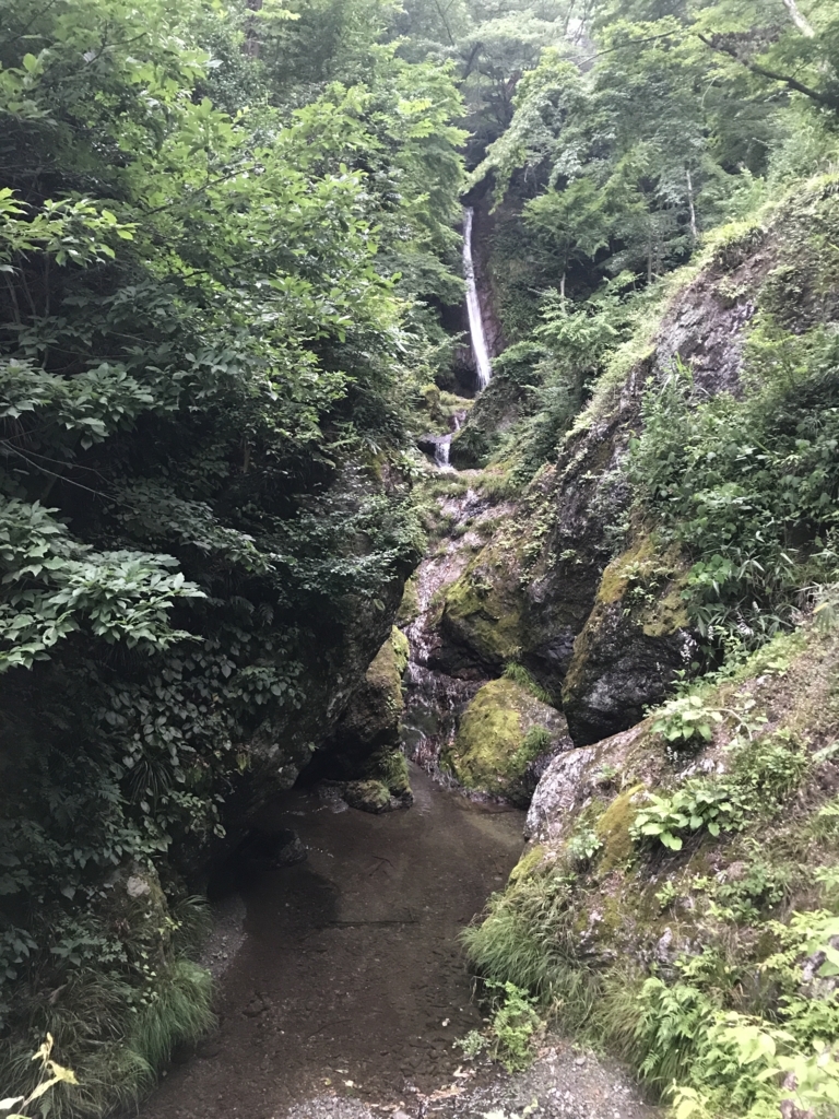 f:id:shmoritz:20170726175841j:plain f:id:shmoritz:20170726175841j:plain