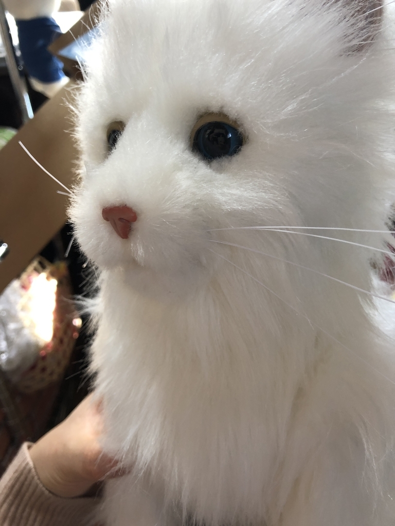 f:id:shnreal:20190227061348j:plain