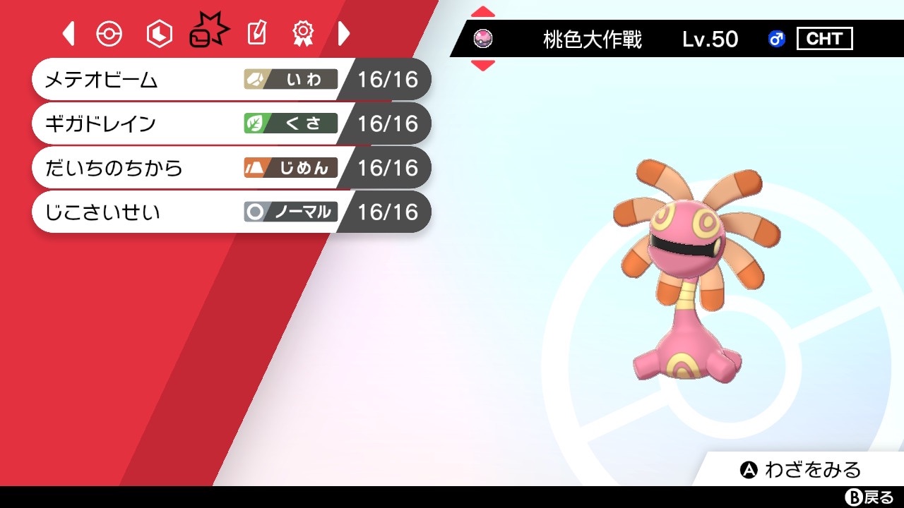 木のパンツ