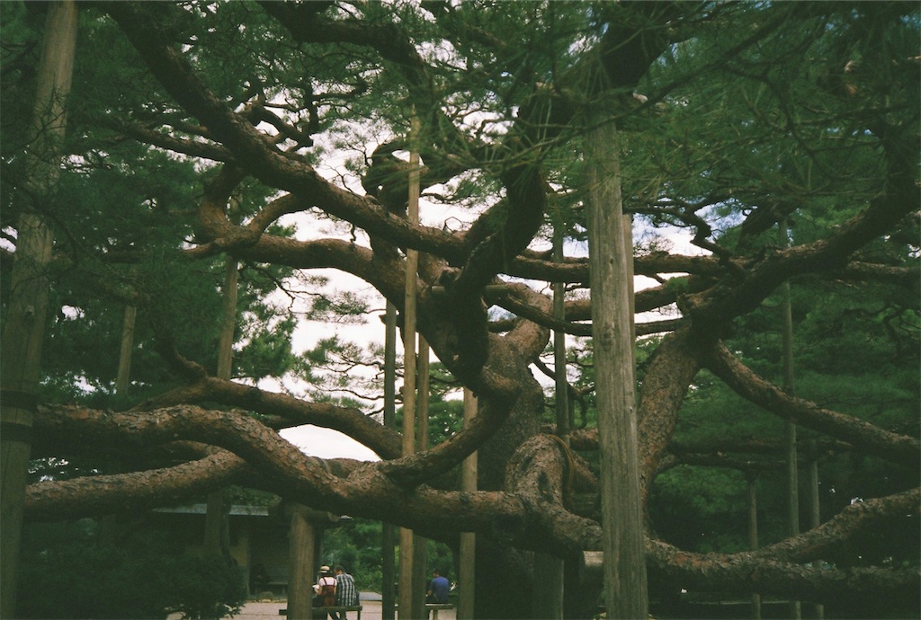 f:id:shnt:20181207165212j:image