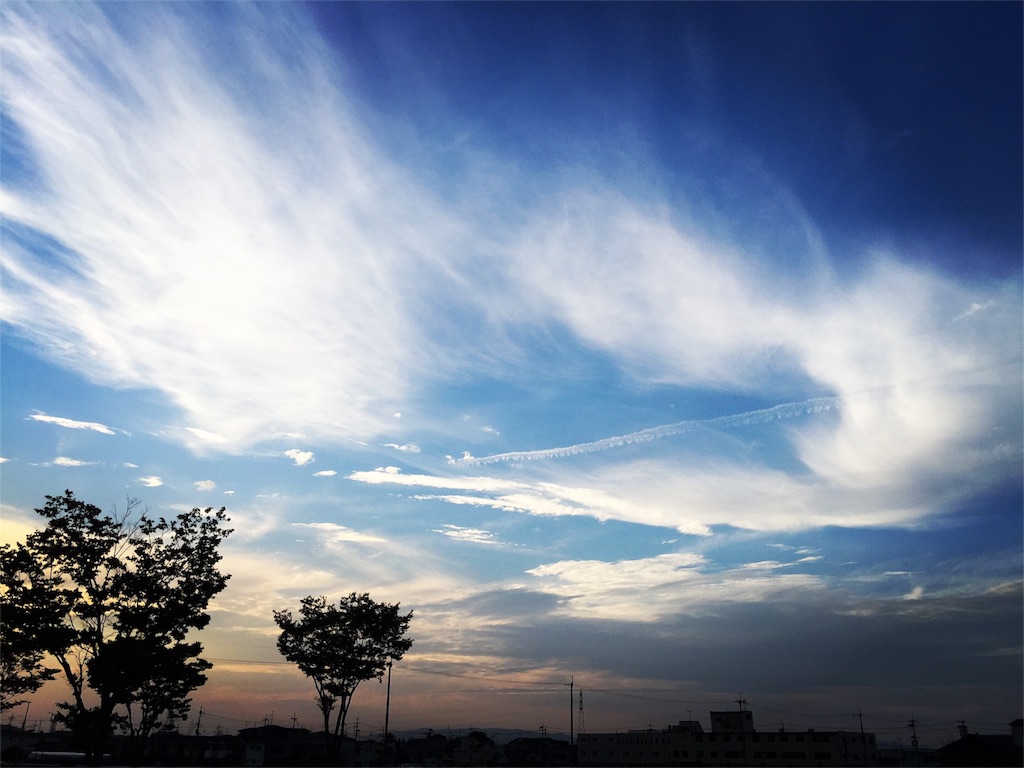 f:id:sho-hashizume:20160921212959j:image f:id:sho-hashizume:20160921212959j:image