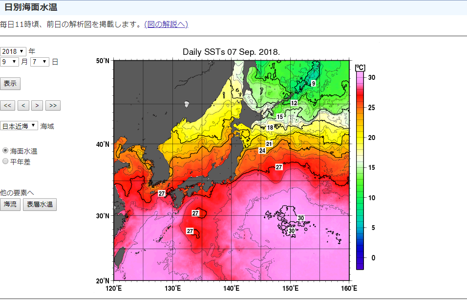f:id:sho11070714:20180909055131p:plain f:id:sho11070714:20180909055131p:plain