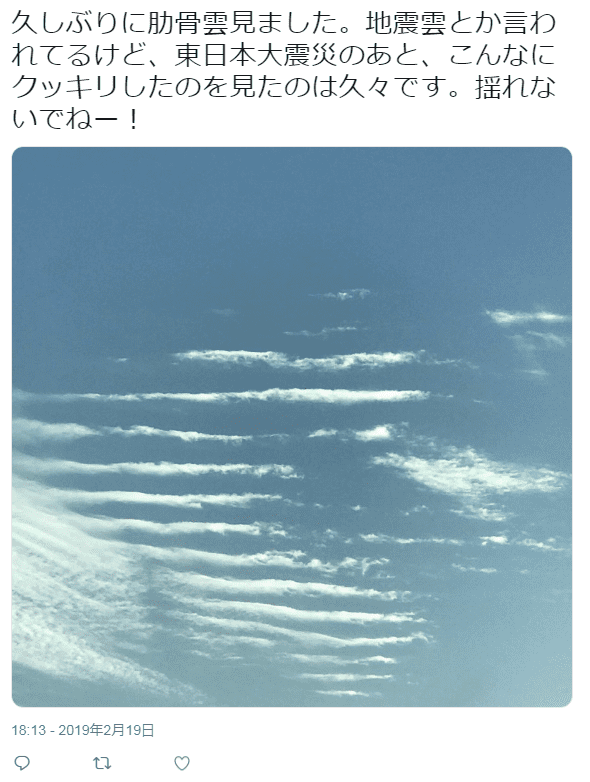 fidsho1107071420190303131129pplain
