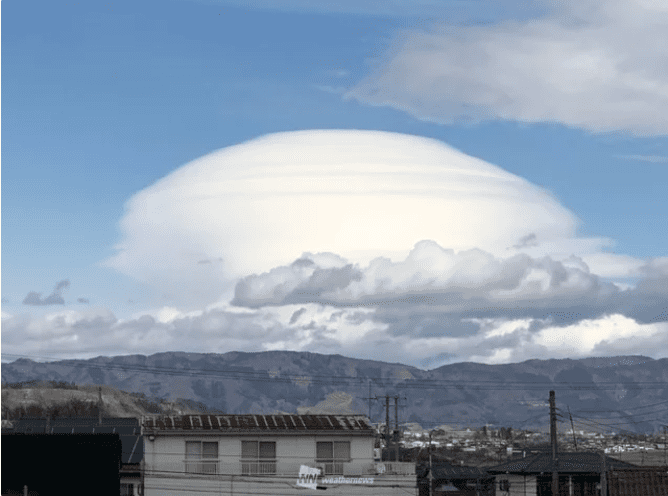 f:id:sho11070714:20190303173358p:plain f:id:sho11070714:20190303173358p:plain
