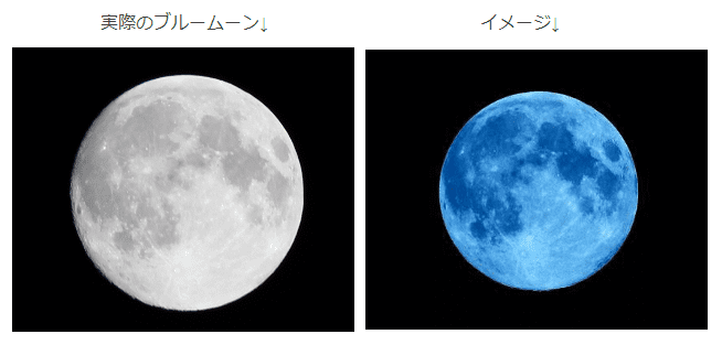 f:id:sho11070714:20190303180411p:plain f:id:sho11070714:20190303180411p:plain