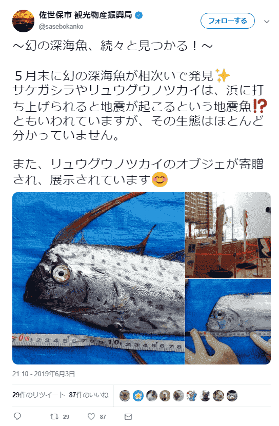 f:id:sho11070714:20190606074748p:plain f:id:sho11070714:20190606074748p:plain