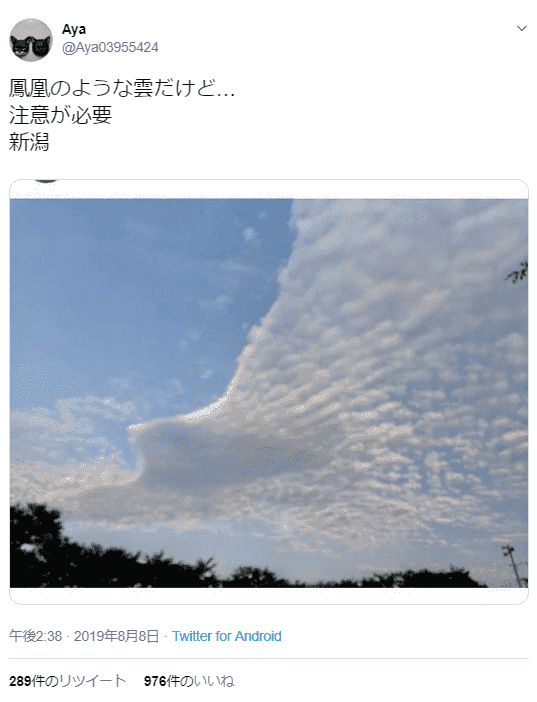 f:id:sho11070714:20190809092034p:plain f:id:sho11070714:20190809092034p:plain