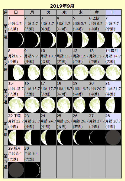 f:id:sho11070714:20190912205141p:plain f:id:sho11070714:20190912205141p:plain