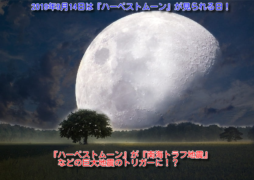 f:id:sho11070714:20190912211742j:plain f:id:sho11070714:20190912211742j:plain