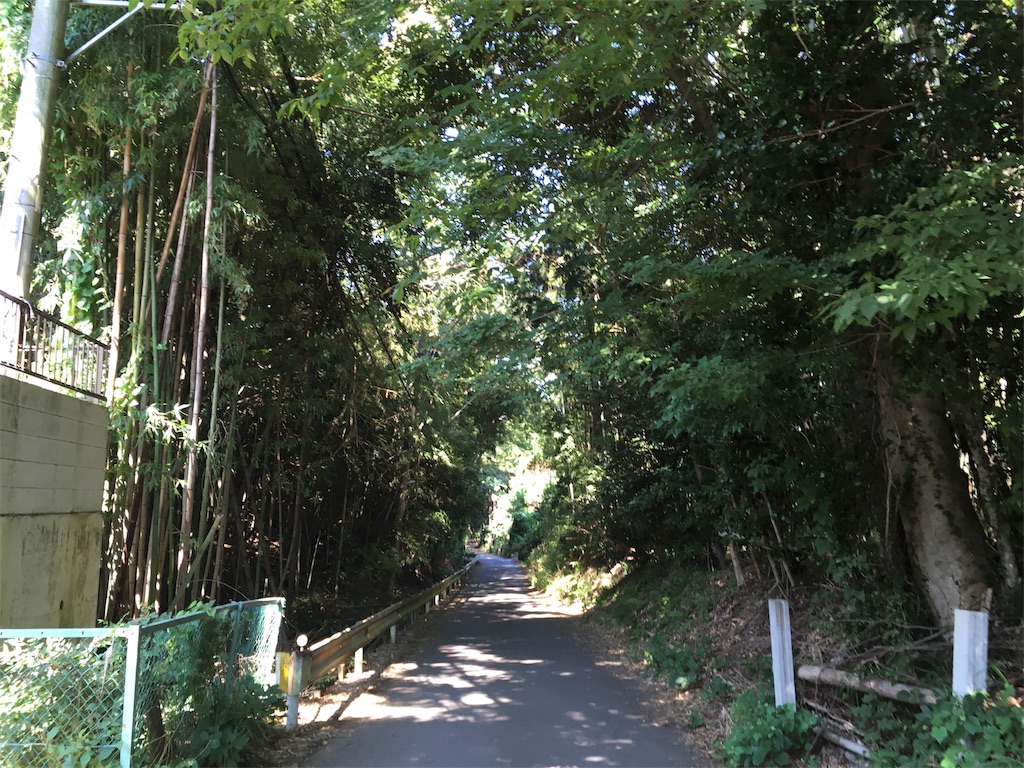 f:id:sho5_919:20180810115906j:image f:id:sho5_919:20180810115906j:image