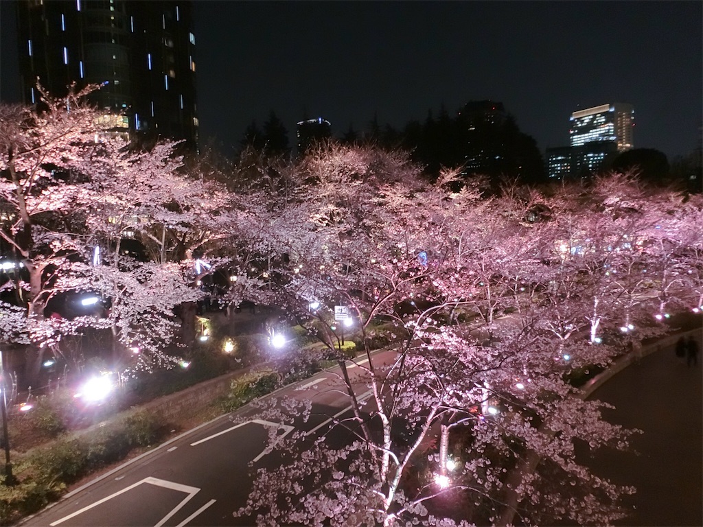 f:id:sho5_919:20190327200809j:image