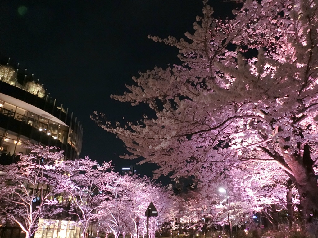 f:id:sho5_919:20190327201318j:image