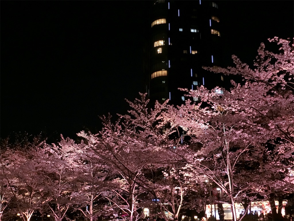 f:id:sho5_919:20190327201350j:image