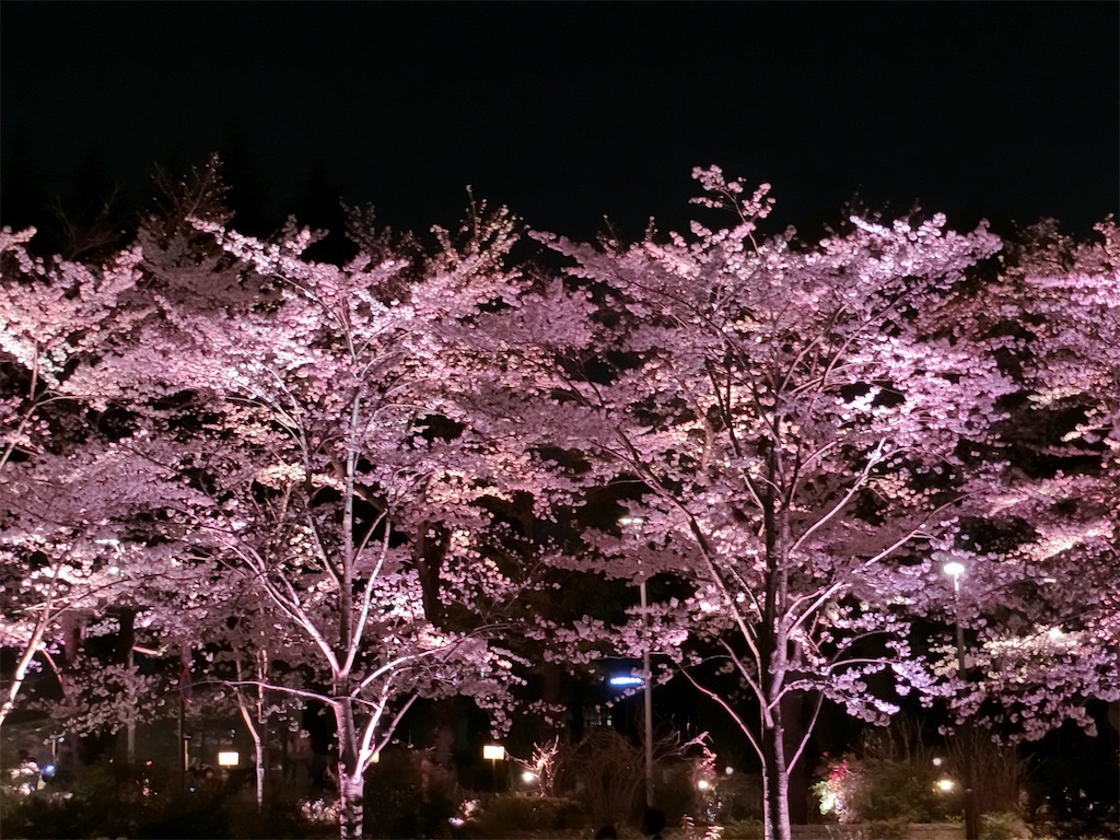 f:id:sho5_919:20190327201408j:image