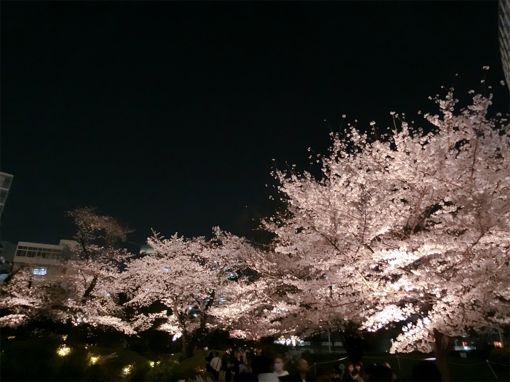 f:id:sho5_919:20190328081455j:image