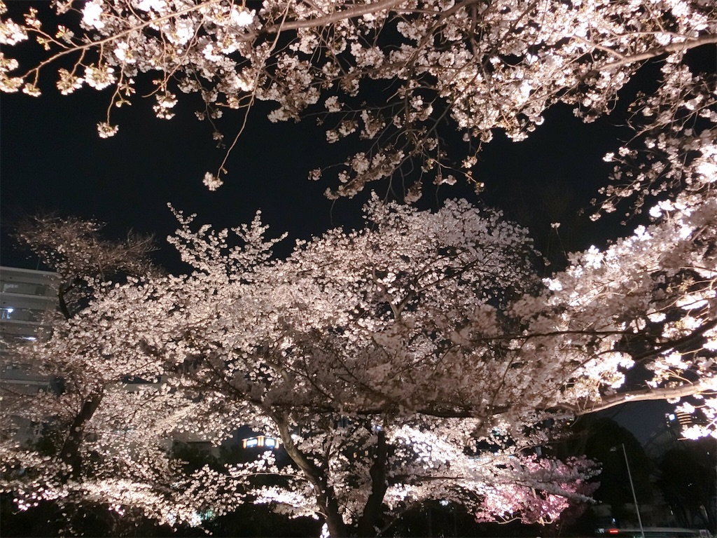f:id:sho5_919:20190328081520j:image
