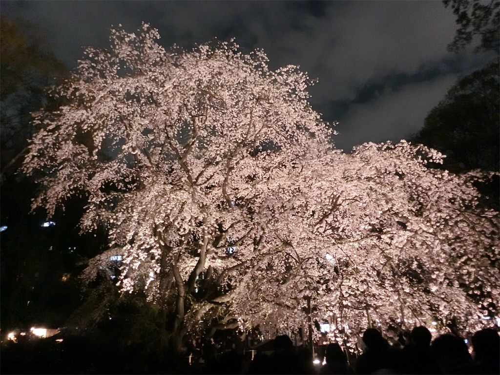 f:id:sho5_919:20190329081450j:image