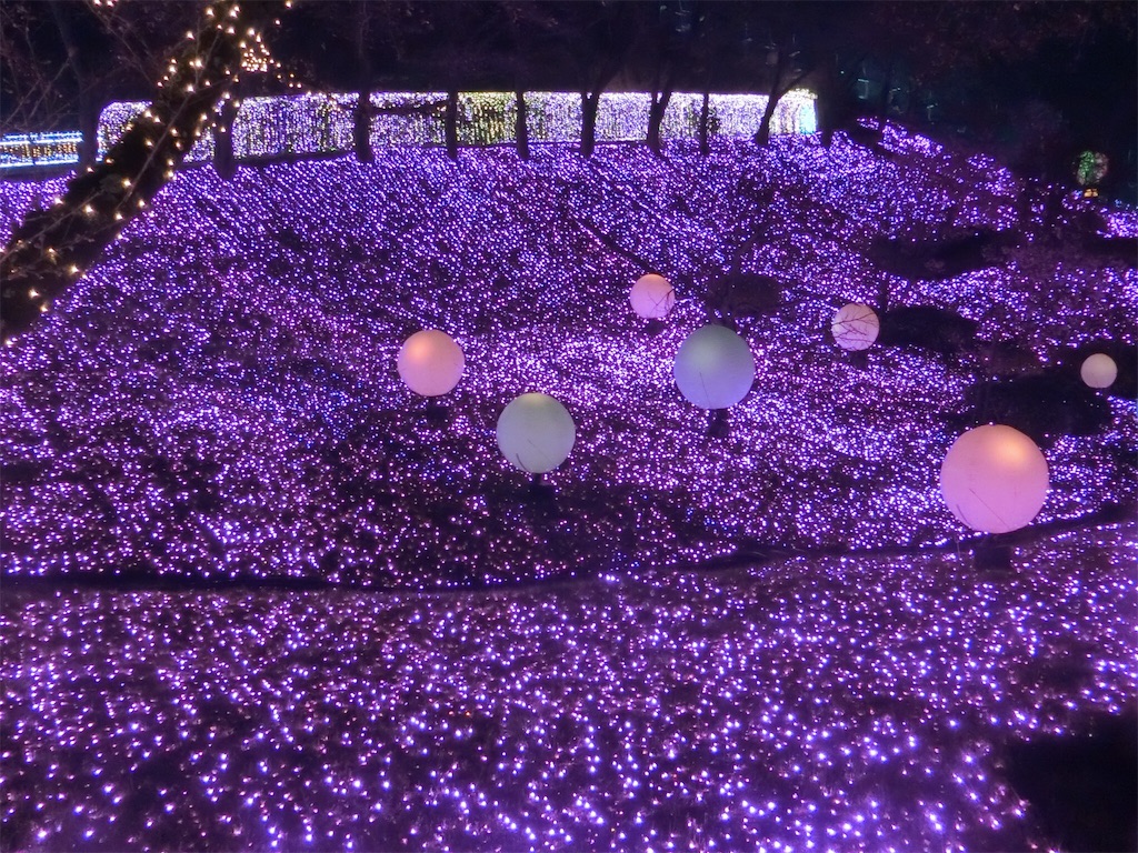 f:id:sho5_919:20190330214216j:image
