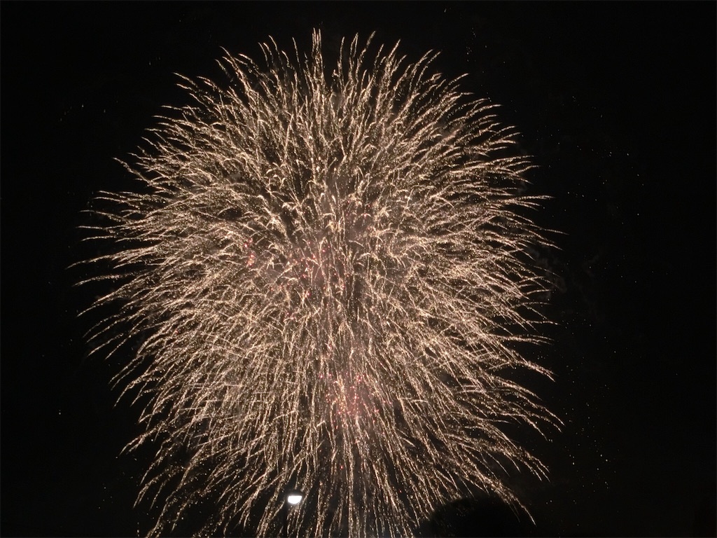 f:id:sho5_919:20190727211643j:image